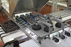 News4 Fig1 1206vsd News4 Fig1 1206vsd