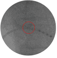 Pennwell web 200 204