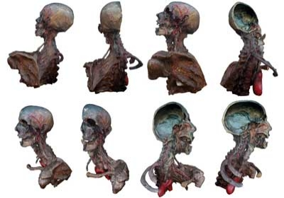 Pennwell web 400 280