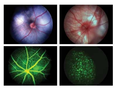 Pennwell web 400 313