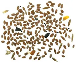 Pennwell web 400 330 Pennwell web 400 330