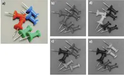 Prodfocf2long Prodfocf2long