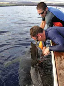 Snapshot Figure4 1405vsd Snapshot Figure4 1405vsd