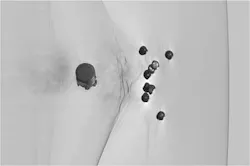 Snapshots Figure1 1310vsd Snapshots Figure1 1310vsd