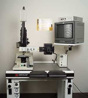 Th 0509vsd Trends04f1