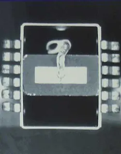 Th 0510vsd Spotlight03 Th 0510vsd Spotlight03