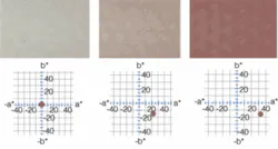 Th 0611vsd Colormatchs1 Th 0611vsd Colormatchs1