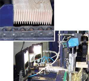 Th 0612vsd Forestry01