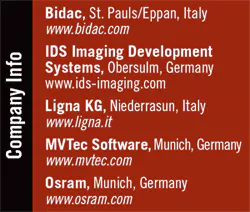 Th 0612vsd Forestryt1 Th 0612vsd Forestryt1