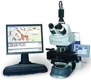 Th 0701vsd Spotlight01