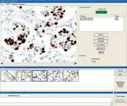 Th 0701vsd Spotlight03 Th 0701vsd Spotlight03