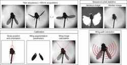 Th 0702vsd Trends01 Th 0702vsd Trends01