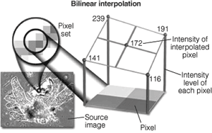 Th 0710vsd Website01
