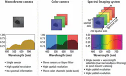 Th 0803vsd Under02 Th 0803vsd Under02