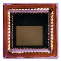 Th 0807vsd Newproduct03 Th 0807vsd Newproduct03