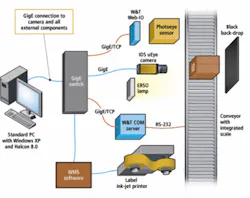 Th 0810vsdfea2insights Th 0810vsdfea2insights