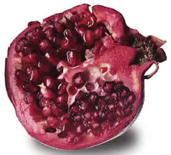 Th Ttpomegranate 0902vsd Th Ttpomegranate 0902vsd