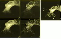 Th Vsd50949 27 Th Vsd50949 27