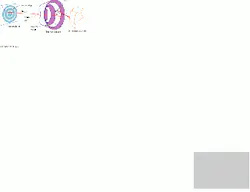 Th Vsd51199 21 Th Vsd51199 21