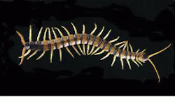 Th Vsd51431 23 Th Vsd51431 23