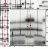 Th Vsd51511 29 Th Vsd51511 29