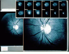 Th Vsd51533 42 Th Vsd51533 42