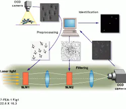 Th Vsd51663 31 Th Vsd51663 31