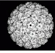 Th Vsd51712 31 Th Vsd51712 31