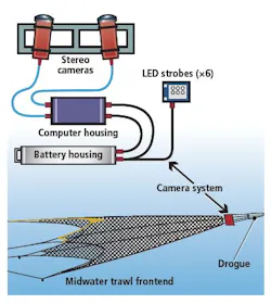 Vsdfish030111 Vsdfish030111