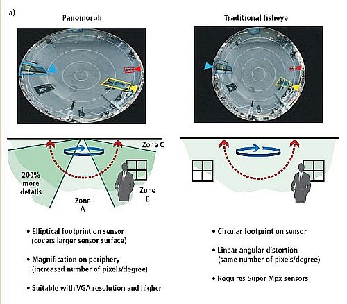 Vsdnewspanomorpha060311