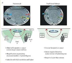 Vsdnewspanomorpha060311 Vsdnewspanomorpha060311