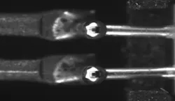 1609vsd Pf 2 1609vsd Pf 2