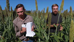 1901vsd Tt 3 P01 1901vsd Tt 3 P01