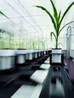 Content Dam Vsd En Articles 2016 03 Life Sciences Imaging Infrared Cameras Help Analyze Water Absorption In Crops Leftcolumn Article Thumbnailimage File Content Dam Vsd En Articles 2016 03 Life Sciences Imaging Infrared Cameras Help Analyze Water Absorption In Crops Leftcolumn Article Thumbnailimage File