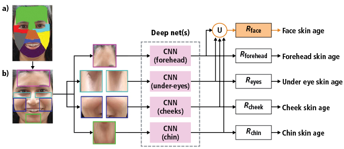 Figure 1: Olay&rsquo;s Skin Advisor software uses computer vision and deep learning techniques to generate skin quality scores across several facial regions.