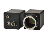 Shared User Praff15b0077834df78c35ebe95cf90af0