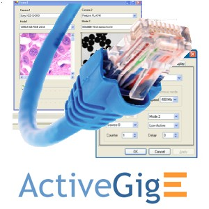 Shared User Prd1f1983185b946a9b8eaeee84ab149f8