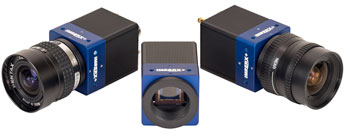 Shared User Usr8efdef902ee14d1db21b79f2219ff667 Vsd