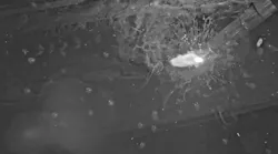 View from the Xtreme Dynamic Range 3D weld visualization helmet. View from the Xtreme Dynamic Range 3D weld visualization helmet.