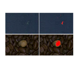 Easy Segment 1 A 5e27376901706 Easy Segment 1 A 5e27376901706