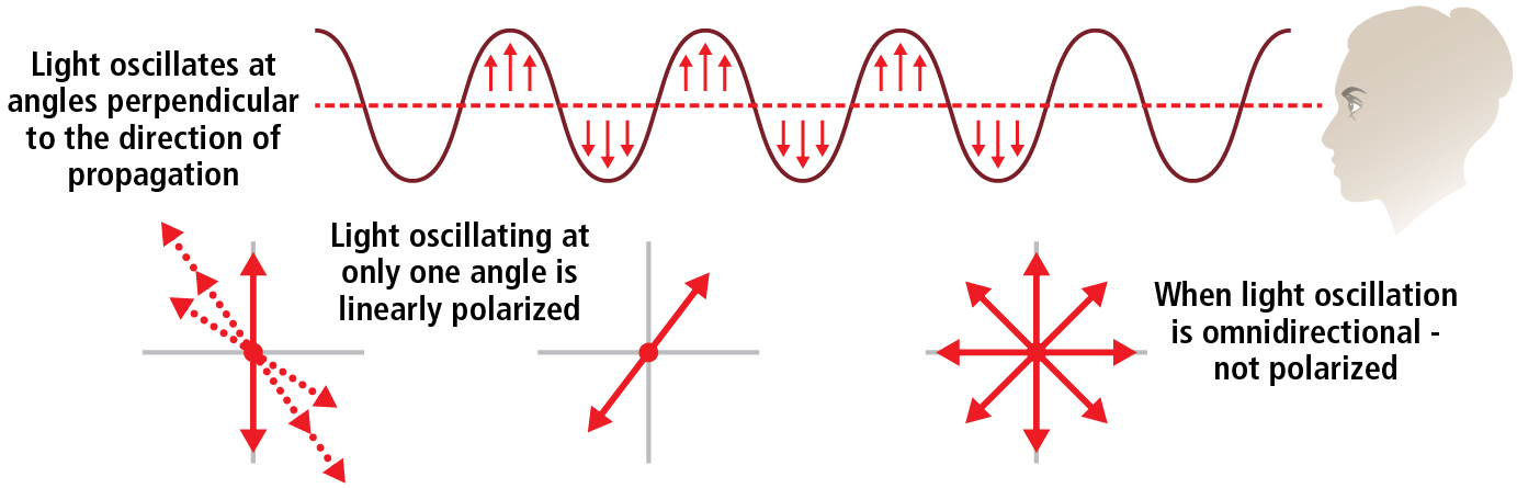 Figure 1: Polarization is a manipulation of light wave oscillation. Image courtesy of Lucid Vision Labs.
