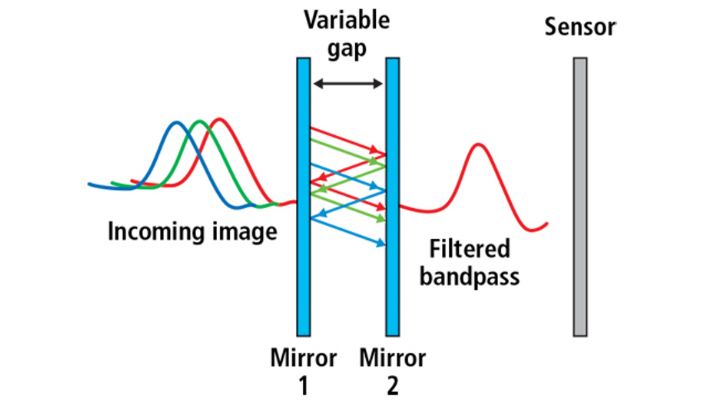 Hyperspectral Microscopy Biological Pathology