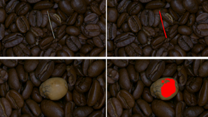 Figure 1: After training the Euresys EasySegment library with less than 100 sample images of good coffee beans without debris, the tool identifies objects it recognizes as non-coffee bean items.