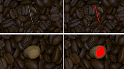 Figure 1: After training the Euresys EasySegment library with less than 100 sample images of good coffee beans without debris, the tool identifies objects it recognizes as non-coffee bean items. Figure 1: After training the Euresys EasySegment library with less than 100 sample images of good coffee beans without debris, the tool identifies objects it recognizes as non-coffee bean items.