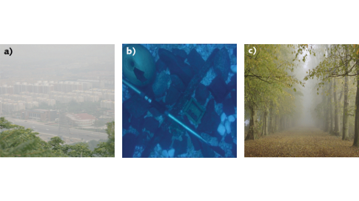 FIGURE 1. A test dataset for hazy images consists of a city view (a), a turbid underwater view (b), and a forest scene (c).