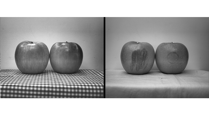 Figure 1: Visible light doesn't show bruising and defects (left), while SWIR imaging highlights bruises and otherwise invisible defects (right).