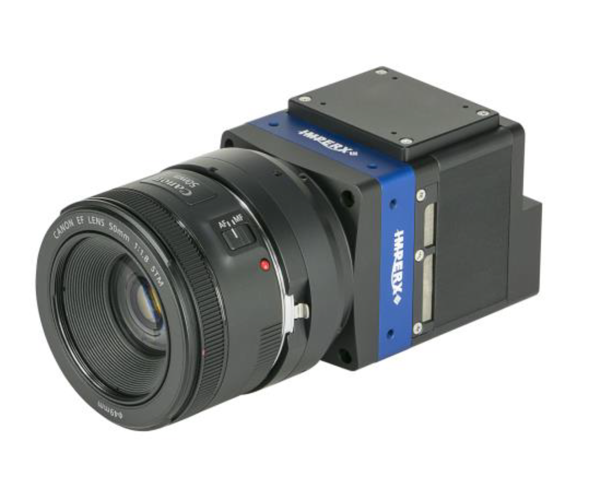 Screen Shot 2020 08 12 At 11 59 49 Am