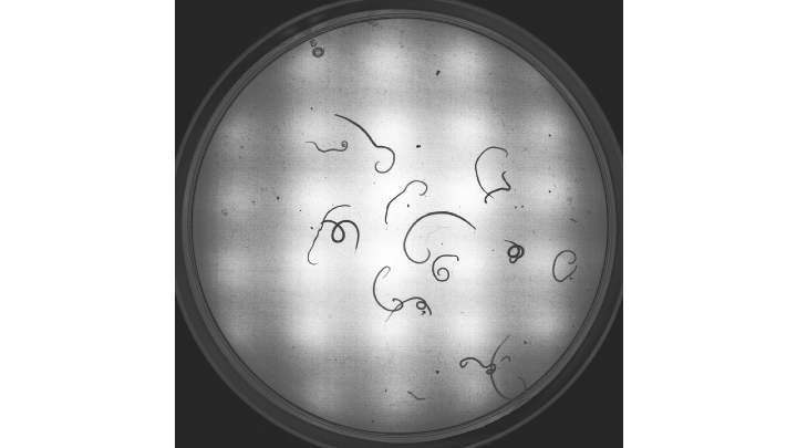 Base Page Hero Template 720 X 405