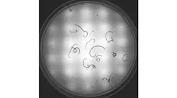 Base Page Hero Template 720 X 405 Base Page Hero Template 720 X 405