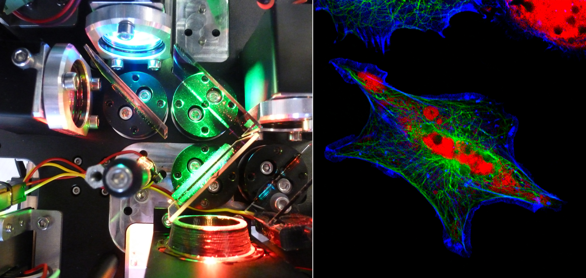 Multifluorescence Digital Microscopes